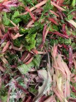 2E6A382A-A72A-4FED-9E72-D0E1C4C89BF1.jpeg 2E6A382A-A72A-4FED-9E72-D0E1C4C89BF1.jpeg