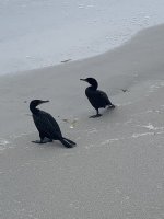 IMG_3264.jpeg