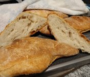 20231224_190553 (1).jpg