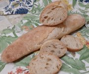 20240121_202045.jpg 20240121_202045.jpg