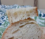 20240121_202201.jpg 20240121_202201.jpg