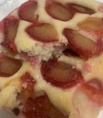 IMG_5947.jpeg