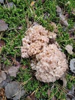 изображение_viber_2024-10-04_09-10-13-580.jpg изображение_viber_2024-10-04_09-10-13-580.jpg