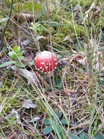 изображение_viber_2024-10-04_09-16-24-811.jpg изображение_viber_2024-10-04_09-16-24-811.jpg