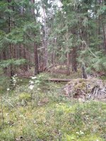 изображение_viber_2024-10-04_09-16-10-173.jpg изображение_viber_2024-10-04_09-16-10-173.jpg