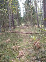 изображение_viber_2024-10-04_09-16-24-879.jpg изображение_viber_2024-10-04_09-16-24-879.jpg