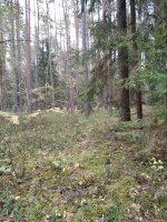 изображение_viber_2024-10-04_09-16-24-933.jpg изображение_viber_2024-10-04_09-16-24-933.jpg