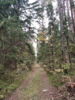 изображение_viber_2024-10-04_09-16-47-802.jpg изображение_viber_2024-10-04_09-16-47-802.jpg