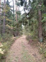 изображение_viber_2024-10-04_09-16-47-861.jpg изображение_viber_2024-10-04_09-16-47-861.jpg