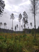 изображение_viber_2024-10-04_09-16-24-833.jpg изображение_viber_2024-10-04_09-16-24-833.jpg