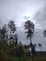 изображение_viber_2024-10-04_09-16-24-856.jpg изображение_viber_2024-10-04_09-16-24-856.jpg