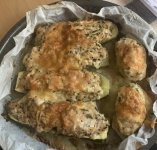 IMG_7044.jpeg IMG_7044.jpeg