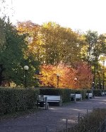 изображение_viber_2024-10-17_08-06-49-632.jpg изображение_viber_2024-10-17_08-06-49-632.jpg