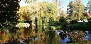 изображение_viber_2024-10-17_08-02-57-873.jpg изображение_viber_2024-10-17_08-02-57-873.jpg