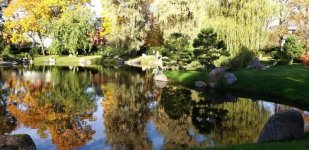 изображение_viber_2024-10-17_08-02-57-835.jpg изображение_viber_2024-10-17_08-02-57-835.jpg