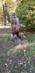 изображение_viber_2024-10-17_08-02-57-796.jpg изображение_viber_2024-10-17_08-02-57-796.jpg