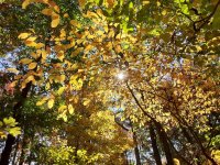 20241020_125041.jpg 20241020_125041.jpg