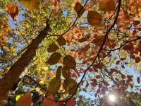 20241020_130032.jpg 20241020_130032.jpg