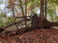 20241020_131419.jpg 20241020_131419.jpg