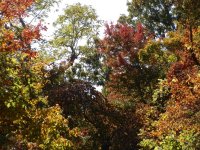 PA190151.JPG PA190151.JPG