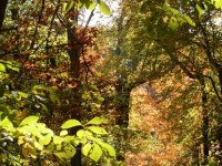 PA190164.JPG PA190164.JPG