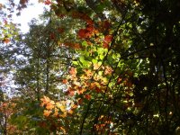 PA190176.JPG PA190176.JPG