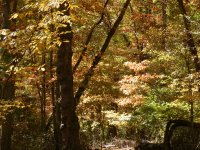 PA190199.JPG PA190199.JPG