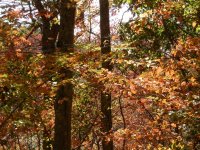 PA190218.JPG PA190218.JPG