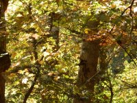 PA190235.JPG PA190235.JPG