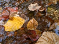 PA190264.JPG PA190264.JPG