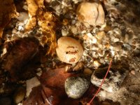 PA190292.JPG PA190292.JPG