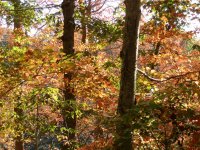 PA190302.JPG PA190302.JPG