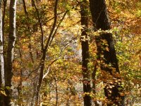 PA190303.JPG PA190303.JPG