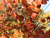 PA190309.JPG PA190309.JPG