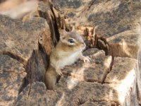 PA190317.JPG PA190317.JPG