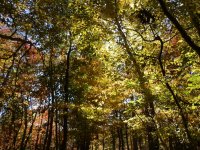 PA200028.JPG PA200028.JPG