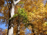 PA200036.JPG PA200036.JPG