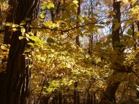 PA260113.JPG PA260113.JPG