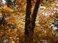 PA260117.JPG PA260117.JPG