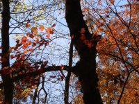 PA260122.JPG PA260122.JPG