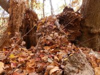 PA260140.JPG PA260140.JPG