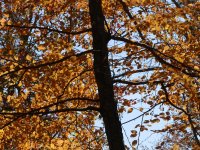 PA260142.JPG PA260142.JPG