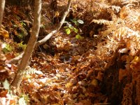 PA260147.JPG PA260147.JPG