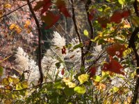 PA260161.JPG PA260161.JPG