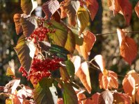 PA260186.JPG PA260186.JPG