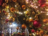 изображение_viber_2024-12-25_17-55-57-414.jpg