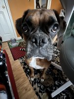 IMG_8103.jpeg