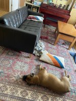 IMG_0325.jpeg