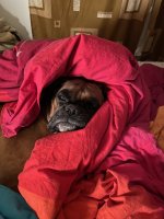 IMG_0406.jpeg