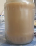 20250316_100848.jpg